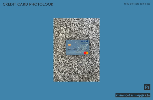 Niger Ecobank Mastercard Photolook Beispielvorschau